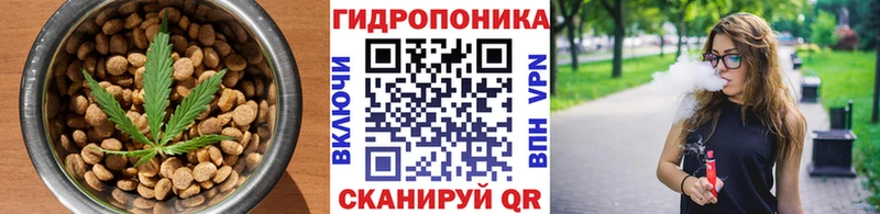 Cannafood конопля  где купить наркоту  Тейково 