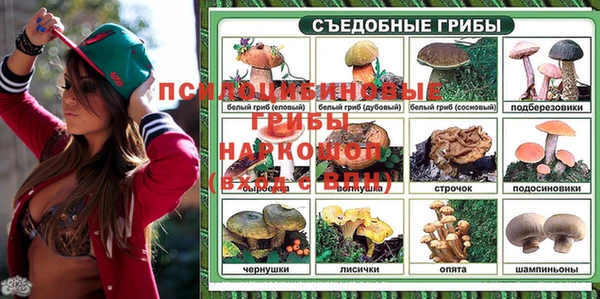 круглые Алзамай