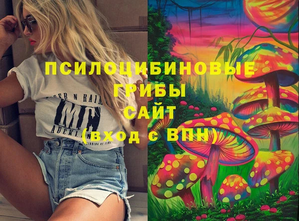 круглые Алзамай