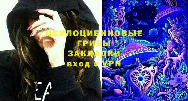 круглые Алзамай