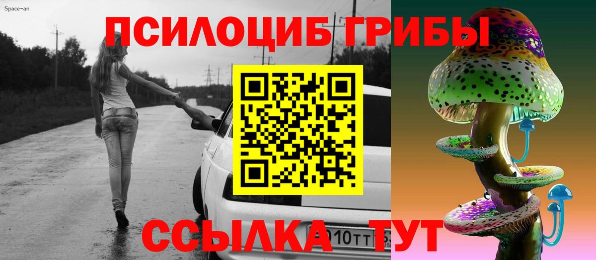 Тейково  Псилоцибиновые грибы Cubensis  Вход с VPN 