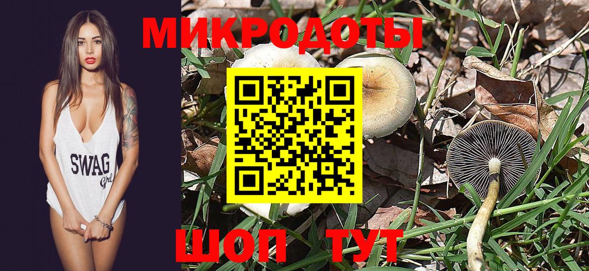 Псилоцибиновые грибы MAGIC MUSHROOMS Тейково